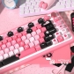 Heart Rate 104+41 MCA Profile Keycap Set Cherry MX PBT Dye-subbed for Mechanical Gaming Keyboard